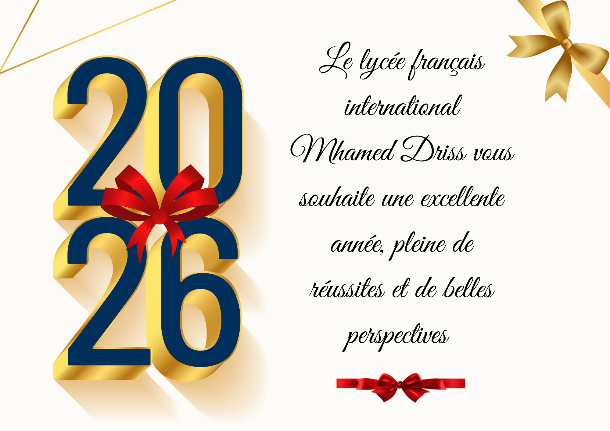 🎉 MEILLEURS VŒUX 🎊 